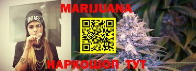 индика Сланцы