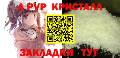 индика Сланцы