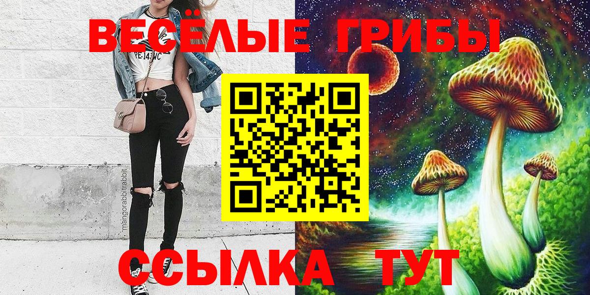 Саратов  Галлюциногенные грибы Cubensis  Вход с VPN 