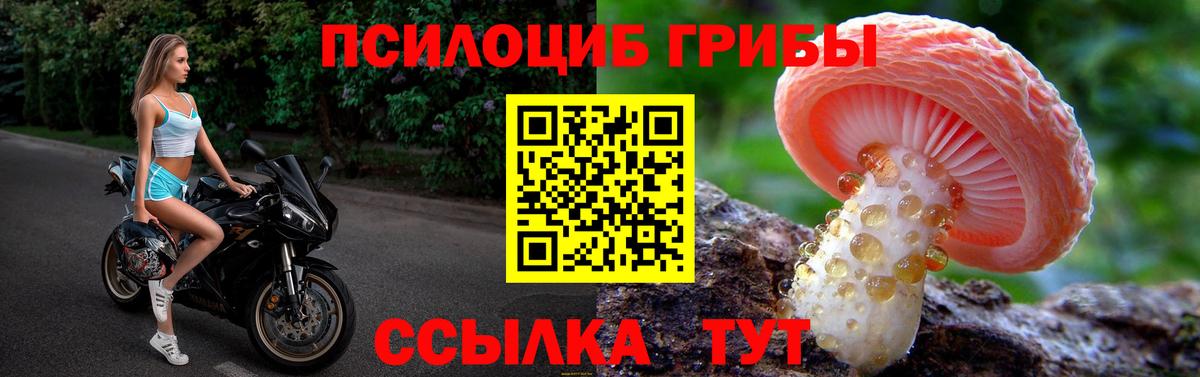 Галлюциногенные грибы MAGIC MUSHROOMS Саратов